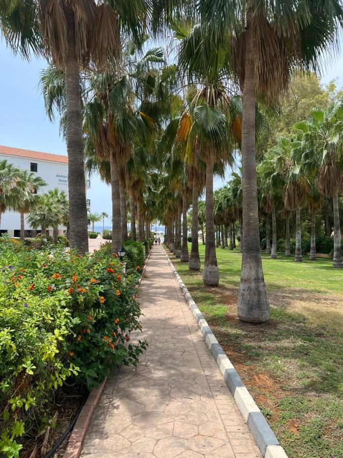 Anmaria Beach Hotel & Spa Ayia Napa Exterior foto
